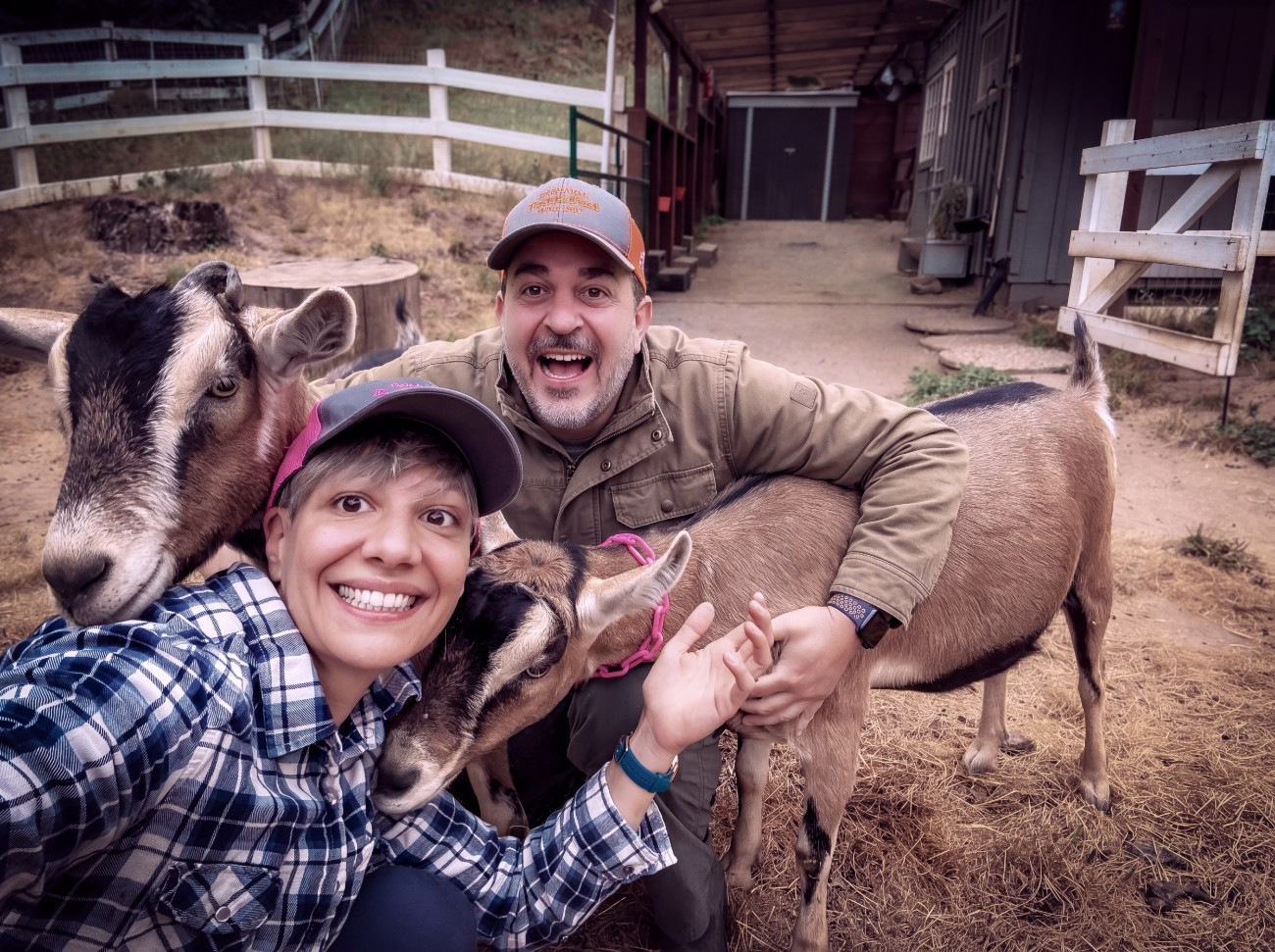 Luigi Bajetti and Alice Gregori crouching in a barnyard beside their two Alpine goats, Milla and Malva, all smiling at the camera.